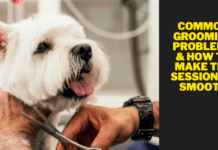 Common Grooming Problems & How To Make The Session Go Smooth Common Grooming Problems & How To Make The Session Go Smooth