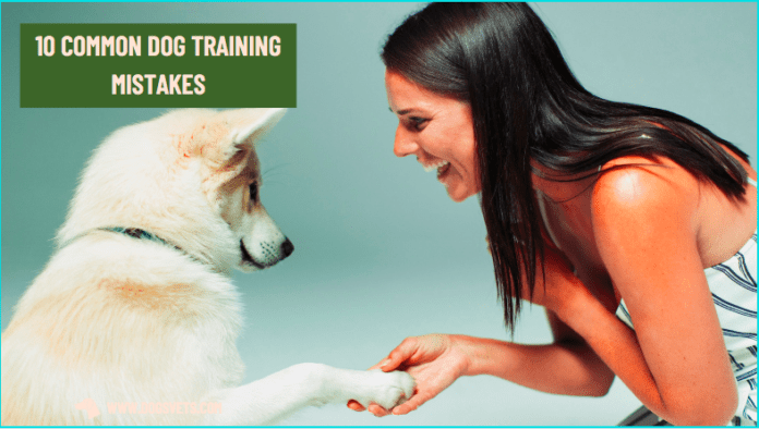 10 Common Dog Training Mistakes