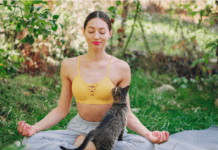 A Quick Guide To Training A Cat A Quick Guide To Training A Cat - 5 Things to Know