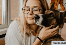 5 Ways To Fix Your Dog’s Constipation 5 Ways To Fix Your Dog's Constipation