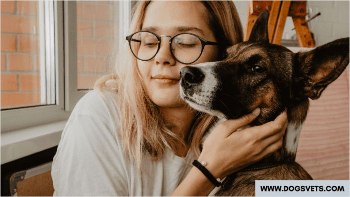 5 maniere om jou hond se hardlywigheid op te los