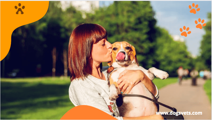 Top 8 Friendly Dogs For Elderly People 2022