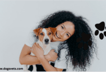 7 Things to know about CareCredit For Pets (How does it work?) 7 Things to know about CareCredit For Pets (How does it work?)