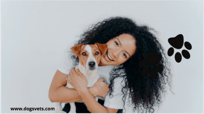 7 Things to know about CareCredit For Pets (How does it work?)