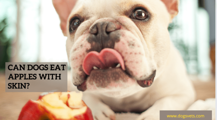 Чи можуть собаки їсти яблука зі шкіркою?