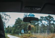 Best Tips for Travelling with Dogs Best Tips for Travelling with Dogs