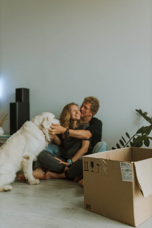 Free A Couple Sitting on the Floor While Playing with their Dog Stock Photo