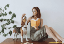 5 Dog Health Issues And What To Do If You Suspect Them 5 Dog Health Issues And What To Do If You Suspect Them