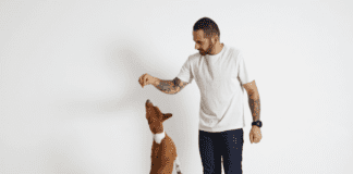 Why is My Dog Not Eating? – 5 Things you need to know Why is My Dog Not Eating? - 5 Things you need to know