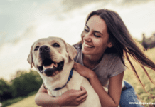 6 Ways to Handle a High-Energy Dog 6 Ways to Handle a High-Energy Dog