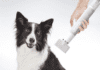 Uahpet Portable Pet Dryer – The Best Portable Pet Dryer in 2022 Uahpet Portable Pet Dryer – The Best Portable Pet Dryer in 2022