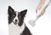 Uahpet Portable Pet Dryer – The Best Portable Pet Dryer in 2022 Uahpet Portable Pet Dryer – The Best Portable Pet Dryer in 2022