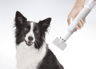 Uahpet Portable Pet Dryer – The Best Portable Pet Dryer in 2022 Uahpet Portable Pet Dryer – The Best Portable Pet Dryer in 2022