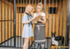 How To Choose A Boarding Kennel + 5 Simple Tips How To Choose A Boarding Kennel