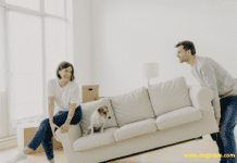 Best Tips for Moving with Your Dogs Best Tips for Moving with Your Dogs