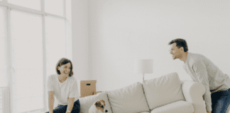 Best Tips for Moving with Your Dogs Best Tips for Moving with Your Dogs