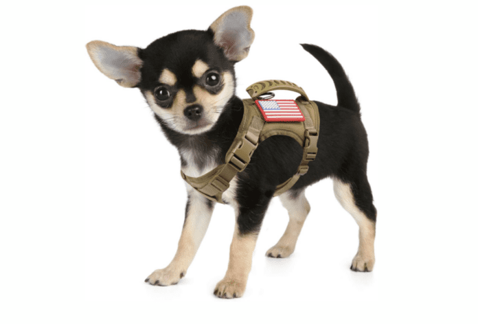 How does a tactical dog harness work