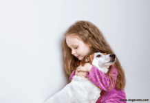 4 Tips For Choosing Your Child’s First Pet 4 Tips For Choosing Your Child’s First Pet