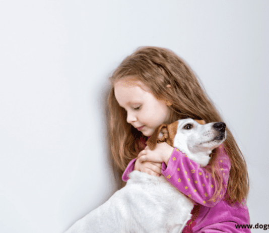 4 Tips For Choosing Your Child’s First Pet 4 Tips For Choosing Your Child’s First Pet