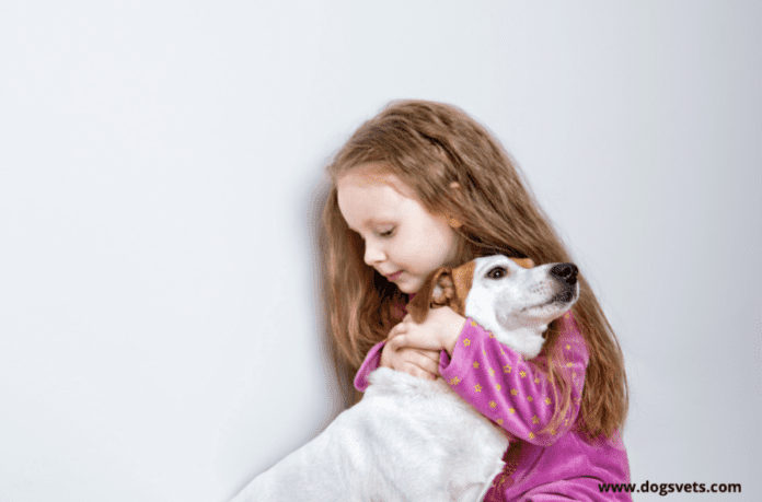 4 lời khuyên để chọn con vật cưng đầu tiên của con bạn
