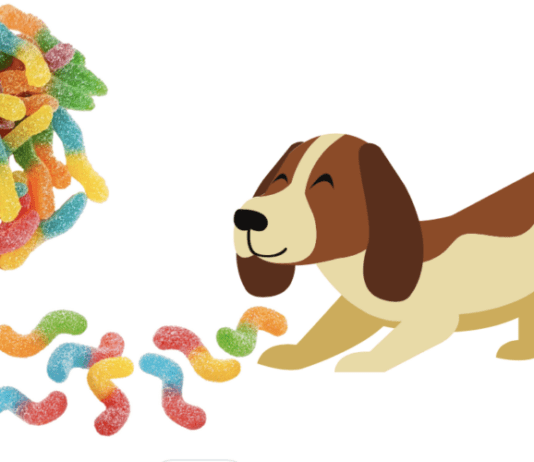 Exploring CBD: What Makes The Best CBD Gummies? Exploring CBD: What Makes The Best CBD Gummies?