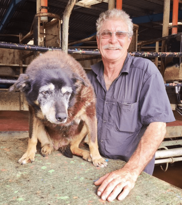 瑪吉是世界上最古老的狗之一