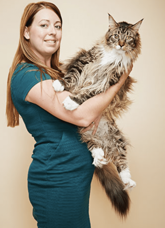 Ludo는 가장 긴 고양이의 세계 기록 보유자입니다.