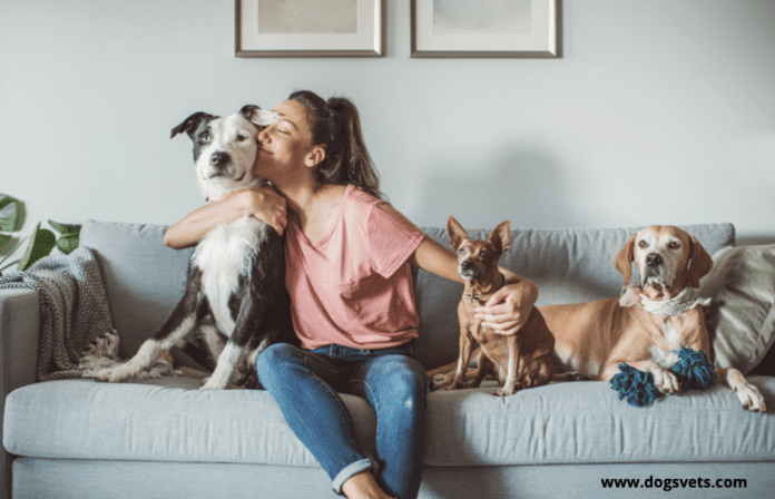 Dog Daycare in 2022 – Everything You Need to Know