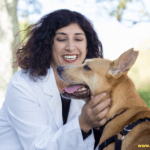 How Much Is Dog Care A Day – Everything You Need To Know How Much Is Dog Care A Day – Everything You Need To Know