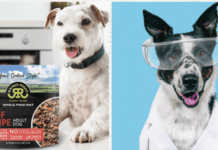 Why Should You Try Raised Right Pet Food Why Should You Try Raised Right Pet Food