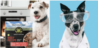 Why Should You Try Raised Right Pet Food Why Should You Try Raised Right Pet Food