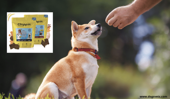 How to Train Your Dog with Chippin Dog Treats