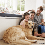 How to Care for Your Dog While Getting Ready to Move House