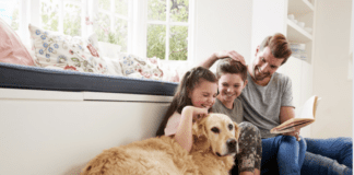 How to Care for Your Dog While Getting Ready to Move House How to Care for Your Dog While Getting Ready to Move House