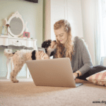 Criteria for evaluating the best cheap pet insurance company