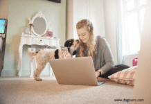 Criteria for evaluating the best cheap pet insurance company Criteria for evaluating the best cheap pet insurance company