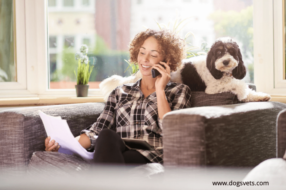 Types of pet insurance policies and their benefits