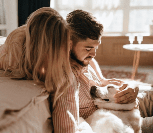 4 Thing you need to know after adopting a Rescue Dog Thing you need to know after adopting a Rescue Dog