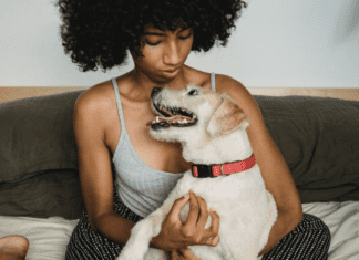 How Long Can a Dog Live With a Pyometra?