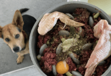 5 Ways to Make Sure Your Dog Doesn’t Die from Eating Raw Meat Make Sure Your Dog Doesn’t Die from Eating Raw Meat
