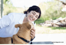 How to Calm A Hyperactive Dog – Ways to care for your dogs How to Calm A Hyperactive Dog