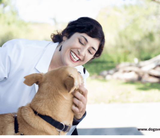 How to Calm A Hyperactive Dog – Ways to care for your dogs How to Calm A Hyperactive Dog