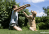 How To Become A Certified Professional Dog Trainer How To Become A Certified Professional Dog Trainer