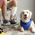 5 Benefits of Psychiatric Service Dogs