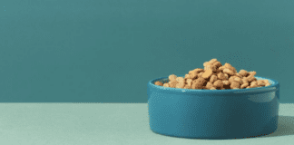 Why Royal Canin Dog Food Is the Best for Your Furry Friend Why Royal Canin Dog Food Is the Best for Your Furry Friend