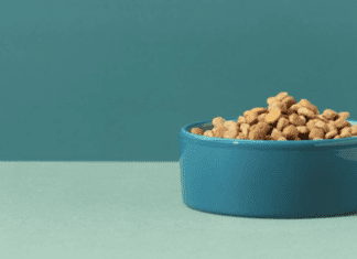 Why Royal Canin Dog Food Is the Best for Your Furry Friend Why Royal Canin Dog Food Is the Best for Your Furry Friend