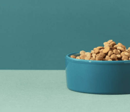 Why Royal Canin Dog Food Is the Best for Your Furry Friend Why Royal Canin Dog Food Is the Best for Your Furry Friend