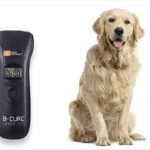 Your dog can benefit from laser treatment | Dogsvets