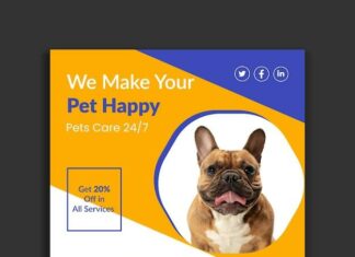 How to Turn Your Lovable Pet into a Social Media Star How to Turn Your Lovable Pet into a Social Media Star