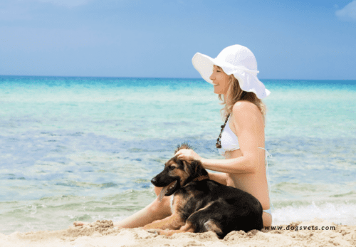 nearest dog-friendly beaches